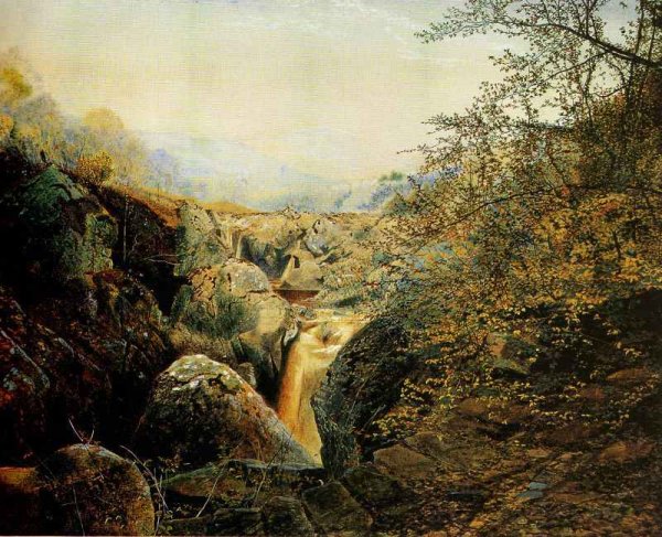 Colwith Force