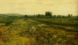 An Extensive Meadow Landscape with Geese by a Stream